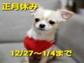 正月休み・12/27?1/4まで
