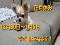 正月やすみ!